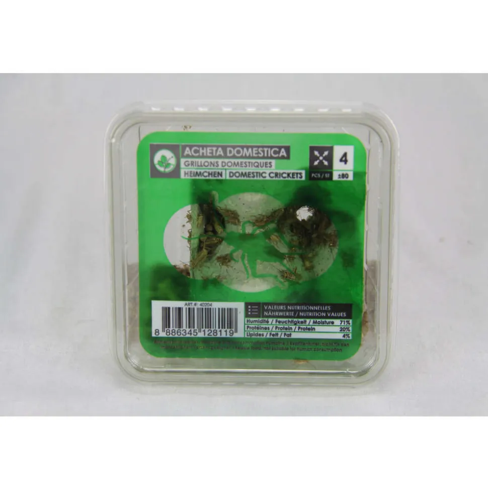 STOFFELS - Grillons alimentation reptiles, taille petit, 70/80 pièces