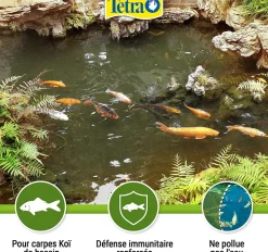 TETRA - Aliment complet flottant koï stick 10 litres , 1,5 kg pour carpes koï de ba