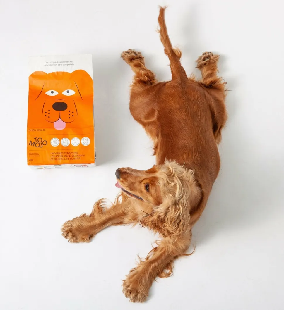 TOMOJO - Croquettes aux insectes sans céréales pour chien 1.2kg