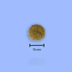 TOMOJO - Croquettes aux insectes sans céréales pour chien 2kg