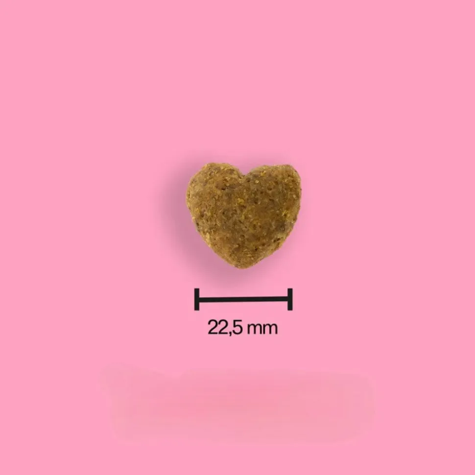 TOMOJO - Friandises aux insectes santé bucco-dentaire pour chien 100g