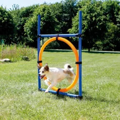 TRIXIE - Cerceau d'agilité pour chiens 115 x 3cm plastique