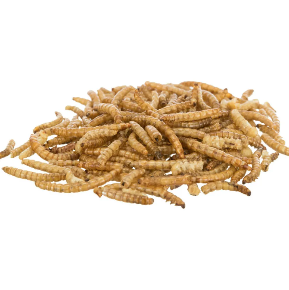 TRIXIE - Larves de vers de farine séchées 70 g