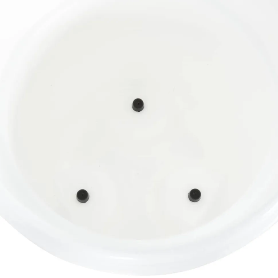 VIDAXL - Abreuvoir pour volailles avec tétines 12 l