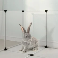 VIDAXL - Cage pour petits animaux transparent 144x74x46,5 cm pp et acier