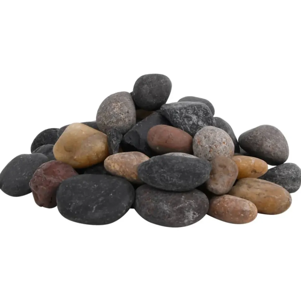 VIDAXL - Galets polis 10 kg multicolores 5-8 cm