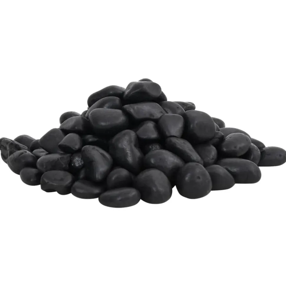 VIDAXL - Galets polis 25 kg noir 2-5 cm