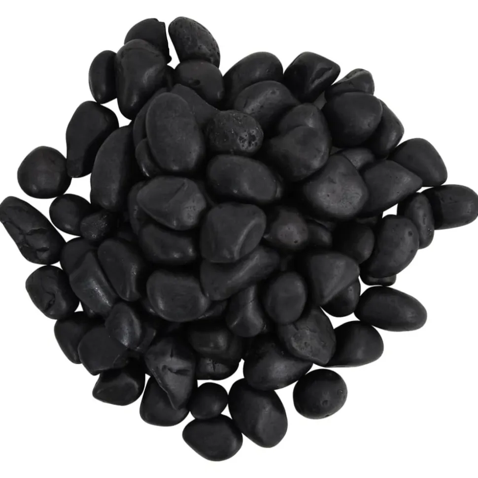 VIDAXL - Galets polis 25 kg noir 2-5 cm