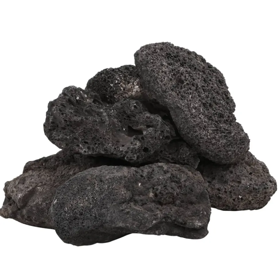 VIDAXL - Roches volcaniques 10 kg noir 10-30 cm