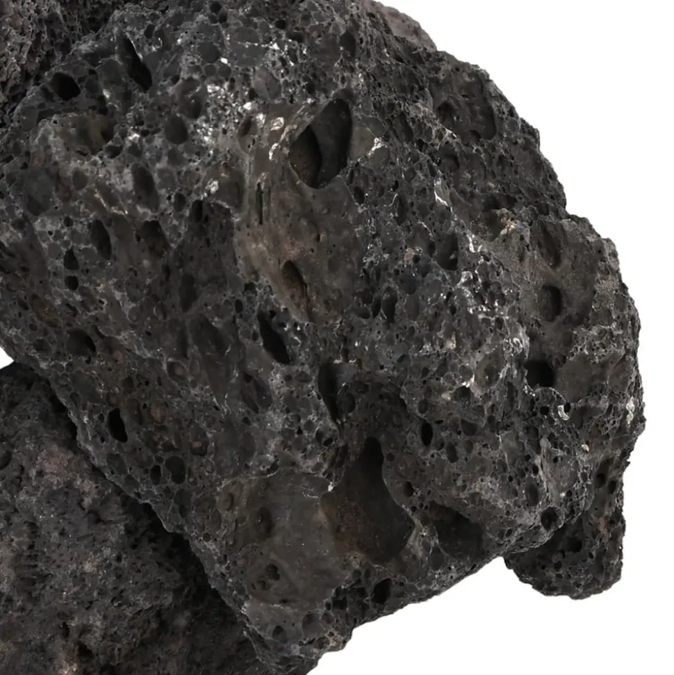 VIDAXL - Roches volcaniques 10 kg noir 10-30 cm