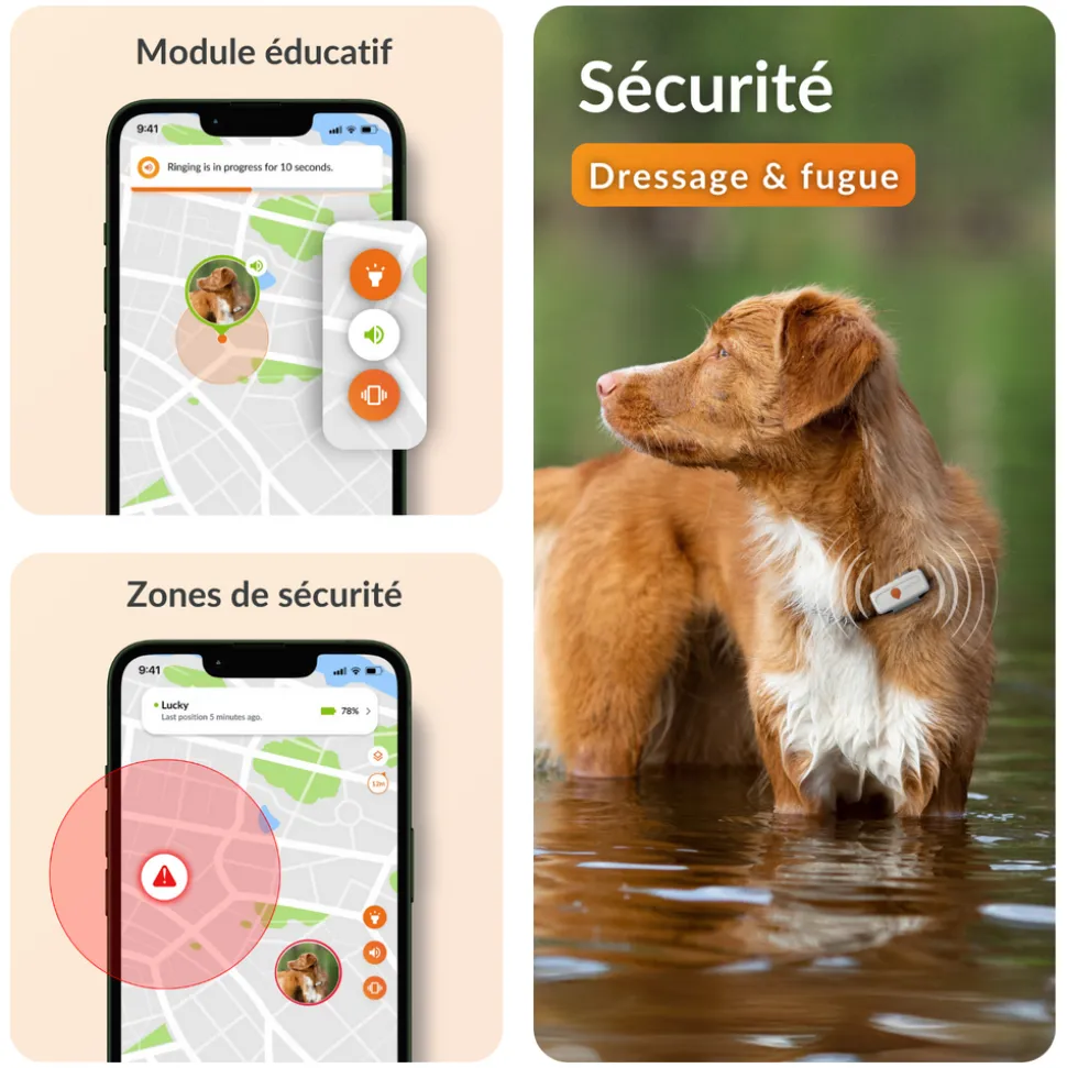 WEENECT - Weenect XS - collier gps pour chien ( white edition )