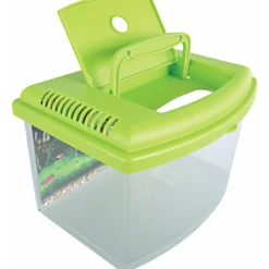 ZOLUX - Aqua travel box ii, médium, taille 28 x 20 x h 17 cm, pour poisson couleur