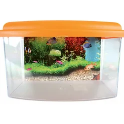 ZOLUX - Aqua travel box ii, médium, taille 28 x 20 x h 17 cm, pour poisson couleur