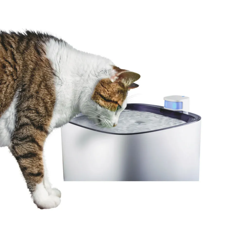 ZOLUX - Fontaine à eau silencieuse iguazu 3 litres pour chats et petits chiens