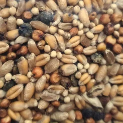 ZOLUX - Graines pour tourterelle sac de 800g pour oiseaux