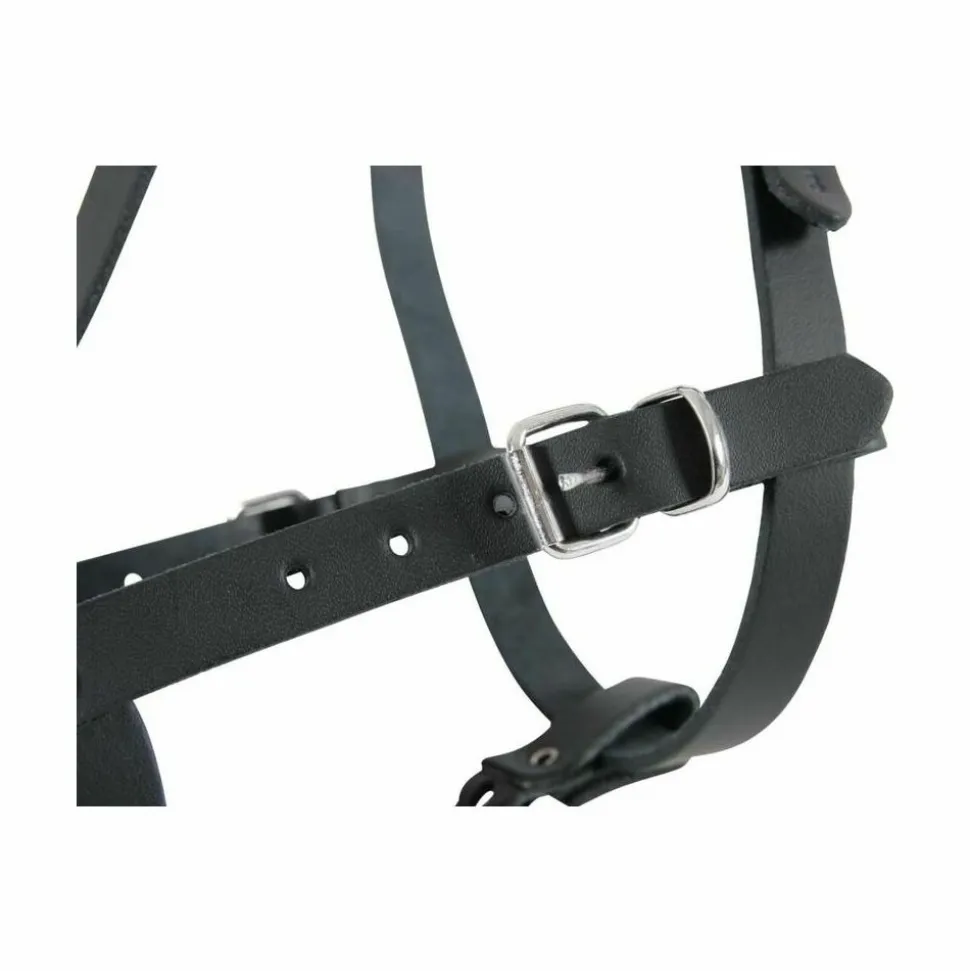 ZOLUX - Muselière en cuir pour chien type police noire taille 6