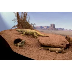 ZOOMED - Substrat Excavator pour Terrarium - 4,5Kg